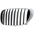 Driver Side Grille Assembly, Grille