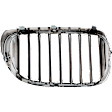 Driver Side Grille Assembly, Grille