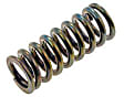 38436 Door Hinge Spring - Direct Fit, Sold Individually