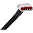590-116 Back Up Camera