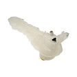 603-1316 Coolant Reservoir, HD Solutions Series