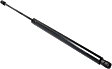 Driver or Passenger Side Liftgate Lift Support, 6 Cyl., 3.6L Engine
