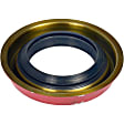 797-101 Differential Bearing and Seal Kit - Kit