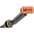 904-479 Fuel Injection Wiring Harness - Direct Fit, Sold individually