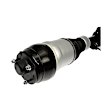 949-849 Front, Passenger Side Air Shock, OE Solutions Series