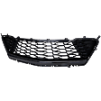 Front Bumper Grille, Painted Black, SS Model