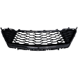 Front Bumper Grille, Painted Black, SS Model