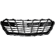 Front Bumper Grille, Black, LT Model
