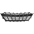 Front Bumper Grille, Black, LT Model