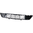 Bumper Grille, Textured Black