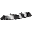 Front, Center Bumper Grille, For Models With Auto Park Assist, Without Night Vision