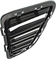 Front, Driver Side Fog Light Cover, Chrome, SS Model