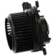 Blower Motor