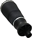 Rear, Driver Side Air Spring, 8 Cyl., 4.6L Engine, with Air Suspension