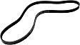 Accessory Drive Belt - Direct Fit, Sold Individually