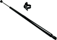 Driver or Passenger Side Trunk Lid Lift Support, Sold Individually