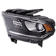 Driver Side Headlight, with Bulb, Halogen, Clear Lens