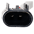 Rear, Driver Side Window Regulator, Power