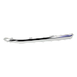 Rear, Passenger Side Bumper Trim, Platinum