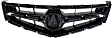 2006-2008 Acura TSX - Grille, Base Model, 4 Cyl., 2.4L Engine