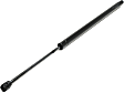 Driver or Passenger Side Liftgate Lift Support, 4 Cyl., 2.3L Engine