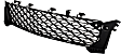 Front, Lower Bumper Grille, Textured Black, GS Model