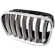 Driver Side Grille Chrome Shell with Silver Insert