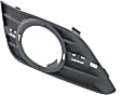 Front, Driver Side Fog Light Trim, Textured, Bezel