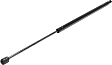 Driver or Passenger Side Hood Lift Support, 6 Cyl., 3.6L Engine