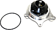 Water Pump, 8 Cyl., 4.6L Engine