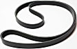 Serpentine belt, 6 Rib Count