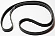 Serpentine belt, 6 Rib Count