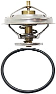 Thermostat, Stainless Steel