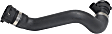 Radiator Hose - Lower, 12 Inches