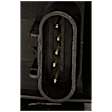 Passenger Side Tail Light, with Bulb, Halogen, Clear and Red Lens