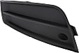 Front, Driver Side Fog Light Cover, Black