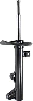 Bare Strut - Front, Driver or Passenger Side