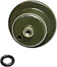 Fuel Pressure Regulator, 6 Cyl., 4.3L Engine