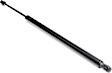 Driver or Passenger Side Trunk Lid Lift Support, 6 Cyl., 3.4L Engine, Sport Utility