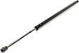 Driver or Passenger Side Trunk Lid Lift Support, 6 Cyl., 3.4L Engine, Sport Utility