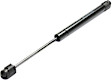 Driver or Passenger Side Trunk Lid Lift Support, Sedan