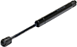Driver or Passenger Side Trunk lid Lift Support