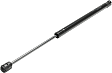 Driver or Passenger Side Liftgate Glass Lift Support, 6 Cyl., 4.3L Engine, 2-Door