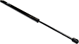 Driver or Passenger Side Liftgate Lift Support