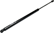 Driver or Passenger Side Liftgate Lift Support