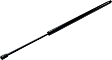 Driver or Passenger Side Liftgate Lift Support