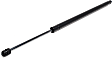 Driver or Passenger Side Liftgate Lift Support