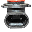 Driver or Passenger Side Fog Light Bulb