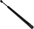 Driver or Passenger Side Trunk Lid Lift Support, Hatchback, For Liftgate