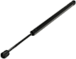 Driver or Passenger Side Trunk Lid Lift Support, Hatchback, For Liftgate